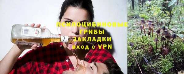 а пвп мука Аркадак