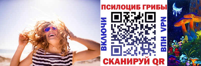 Галлюциногенные грибы Psilocybine cubensis  блэк спрут зеркало  Баксан  как найти наркотики 